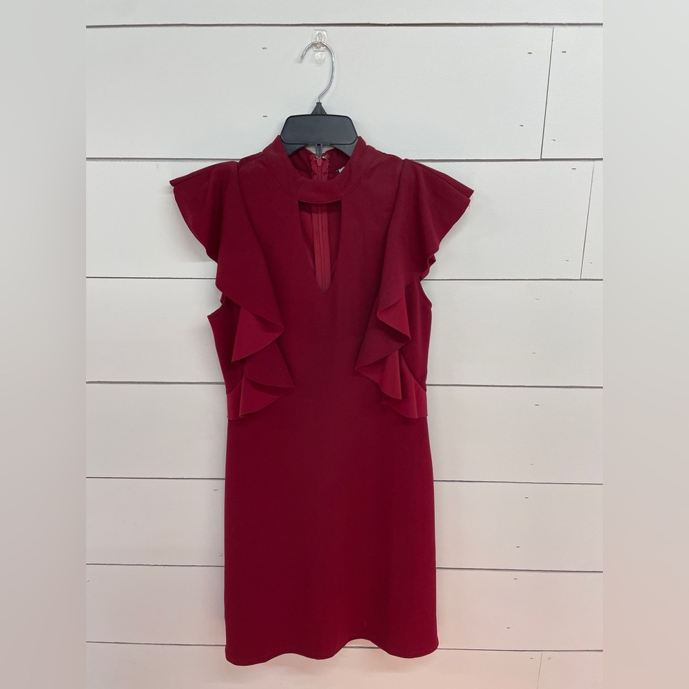 She + Sky Red Wine Dress Flair Ruffle Sleeves